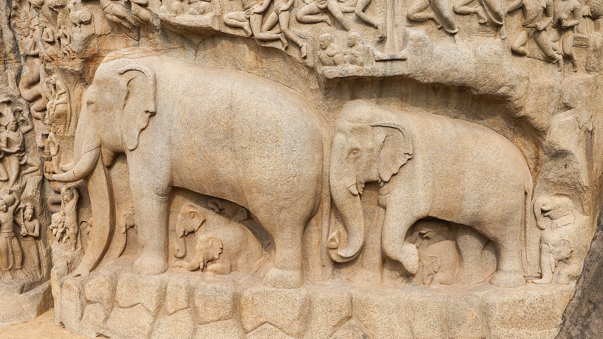 Elephant Herd Descent Ganges Mahabalipuram Sep22