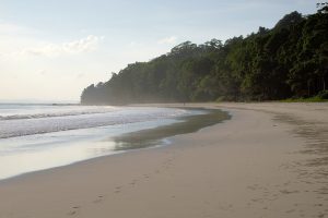 Havelock Island, Radhanagar Beach before sunset, Andaman Islands