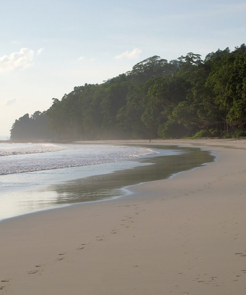 Havelock Island, Radhanagar Beach before sunset, Andaman Islands