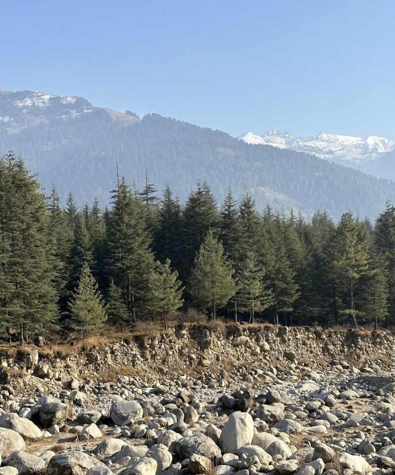 Pine forest and river valley in Himachal Pradesh
