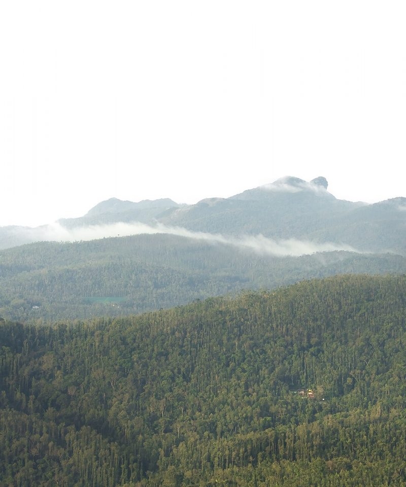 Landscapes of Western Ghats from Mullayyanagiri Betta
