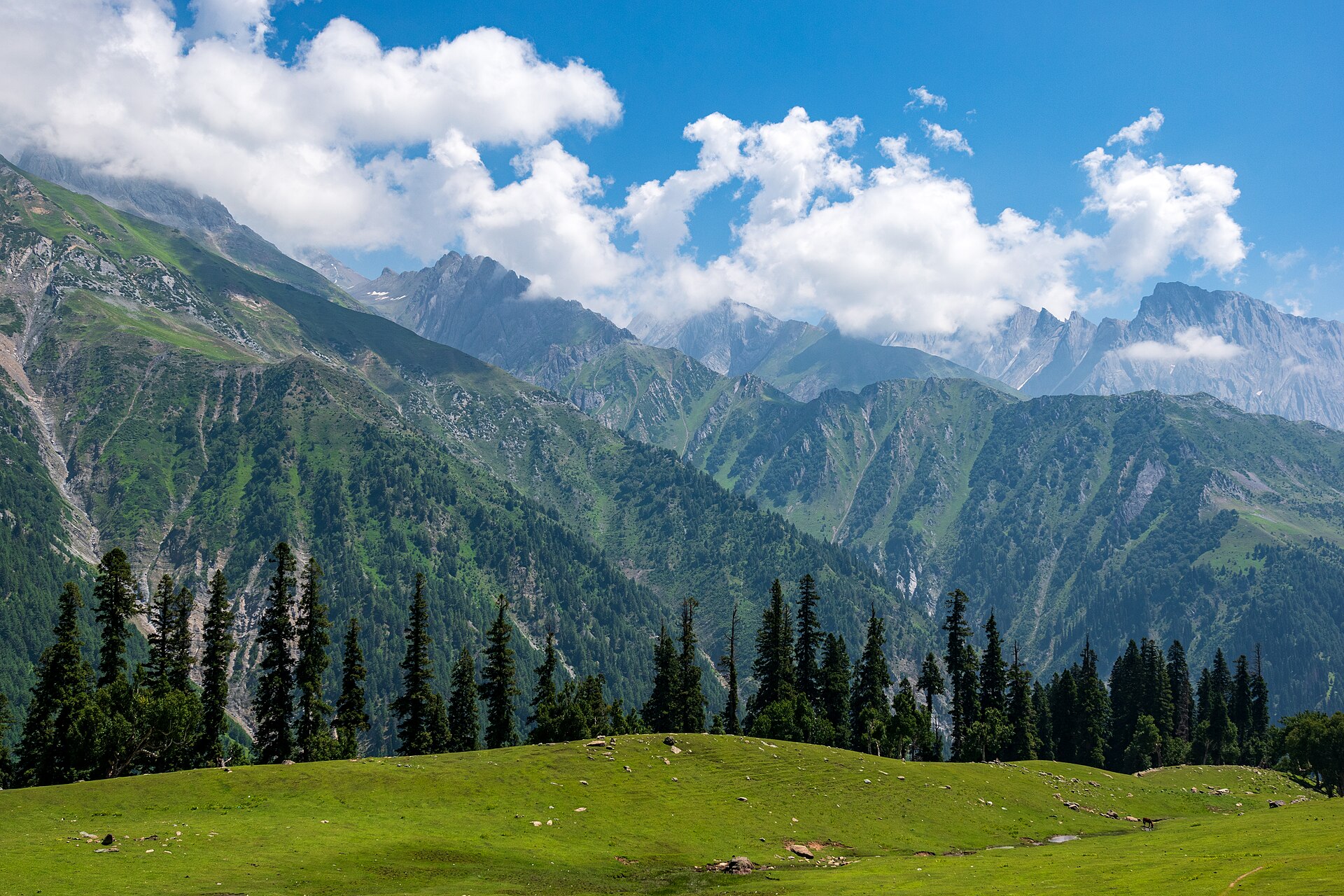 Mountain Meadow in Sonamarg, Kashmir, India