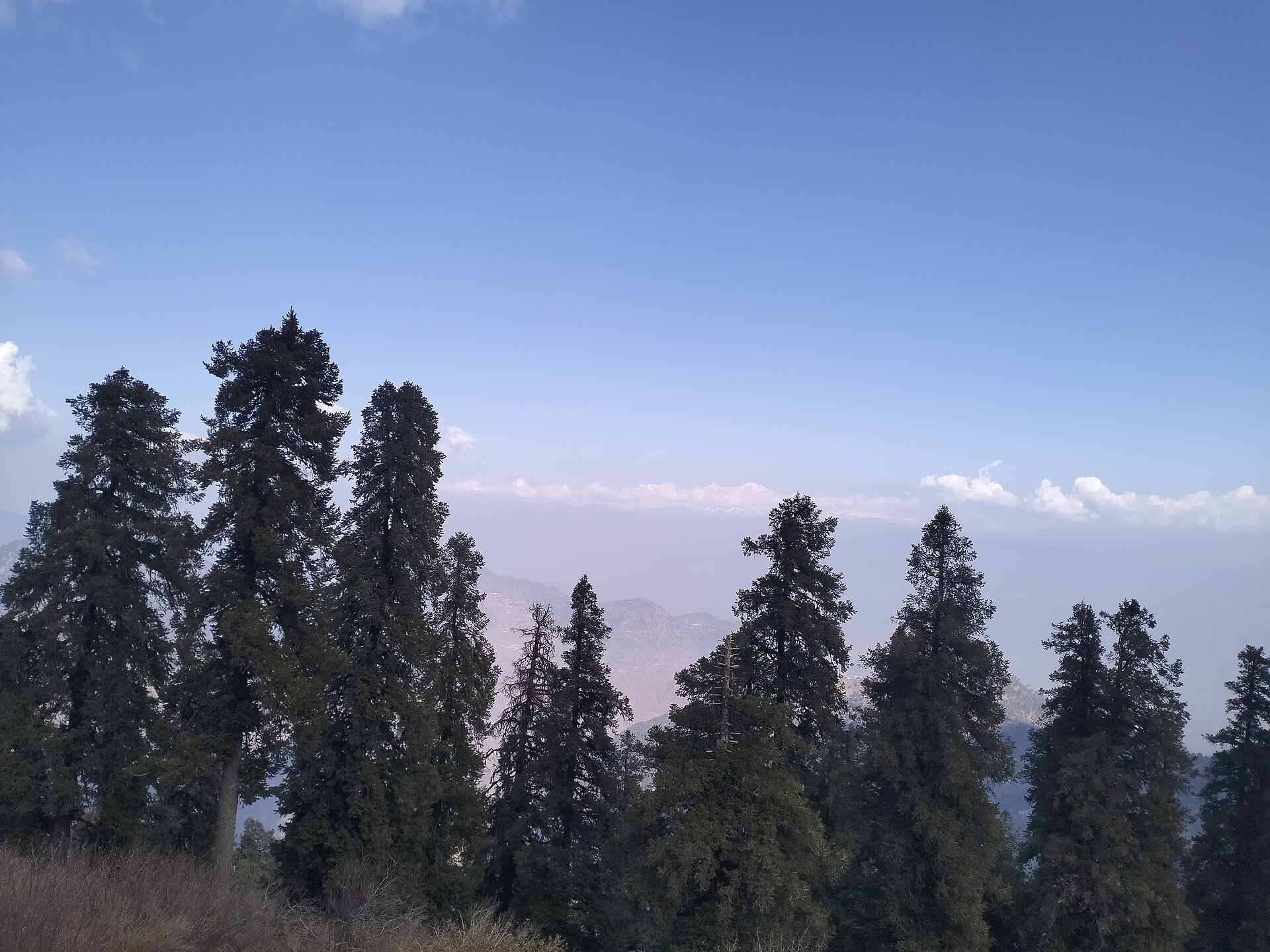 Mussoorie Hill Station