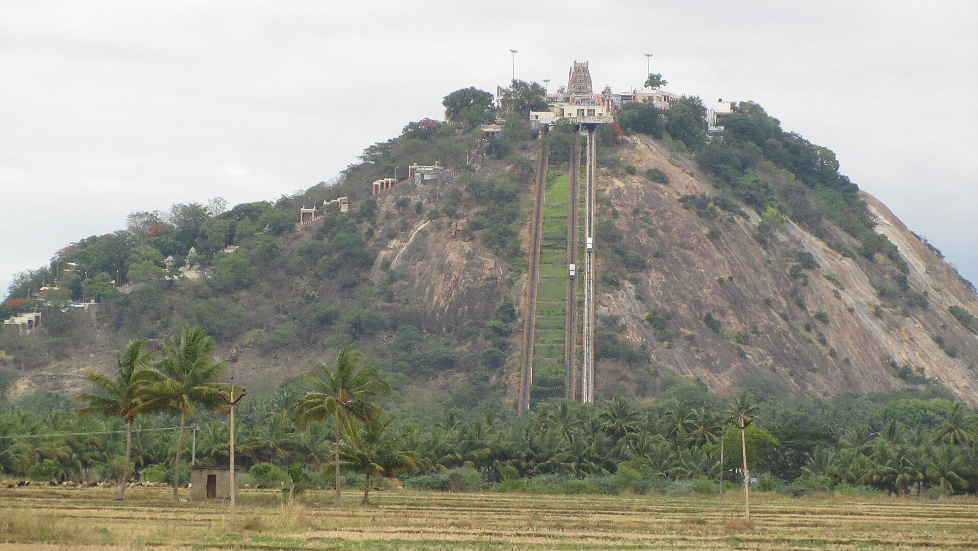 Palani Murugan Hill Temple