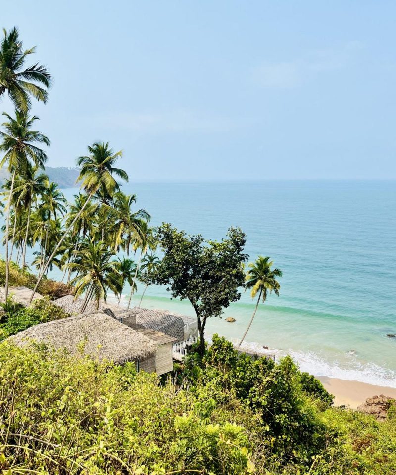 Palolem beach coastline with palm trees, Goa