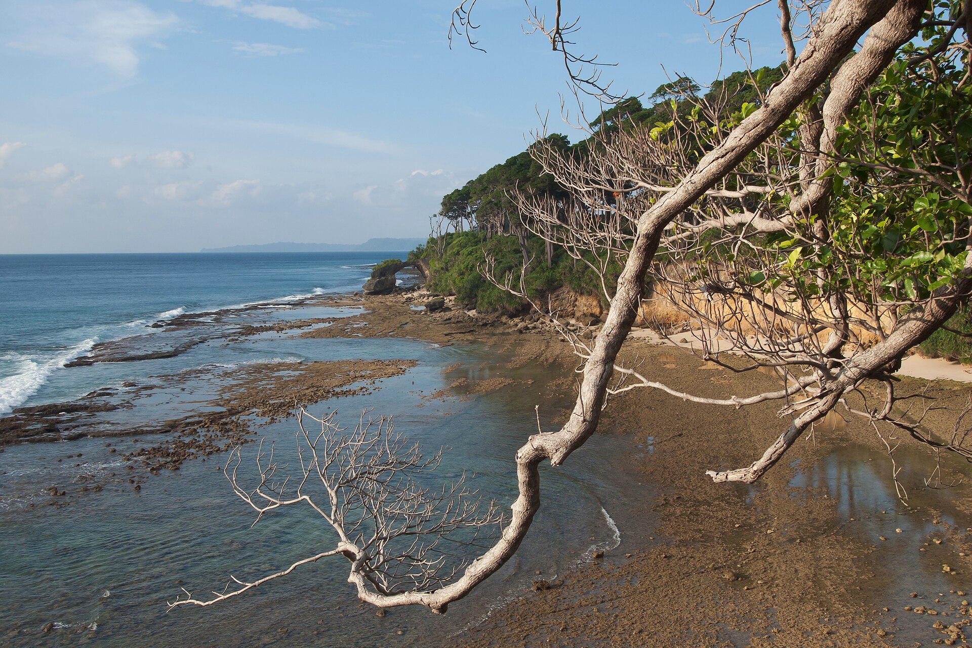 Shaheed Island, Andamans, Coral bridge with natural arch, Panorama