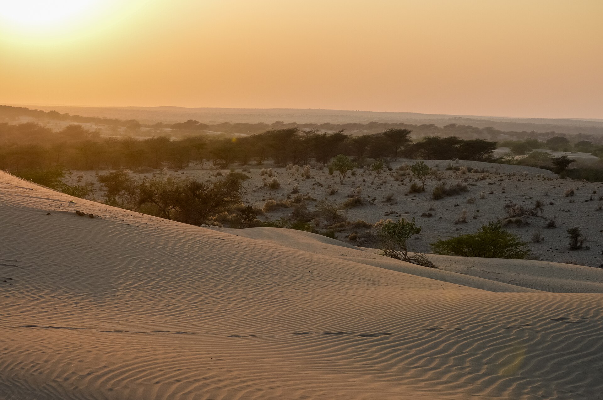 Sunset Sand Dunes Jaisalmer Dec14